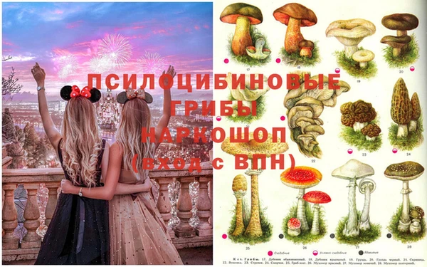 МДМА Лабытнанги