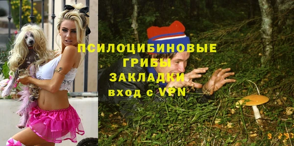 не бодяженный Аркадак